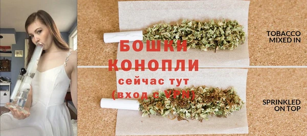 винт Верея
