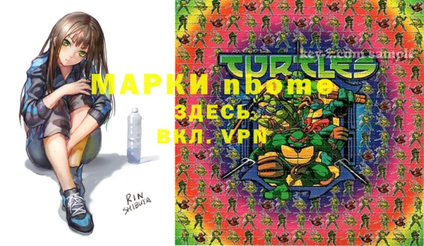 винт Верея