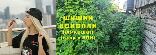 винт Верея