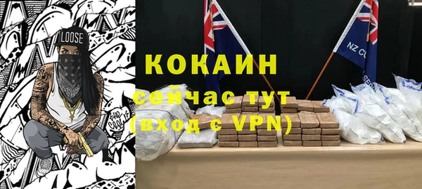 винт Верея