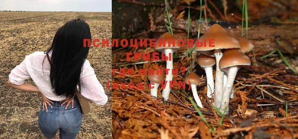 молекула духа Ессентукская