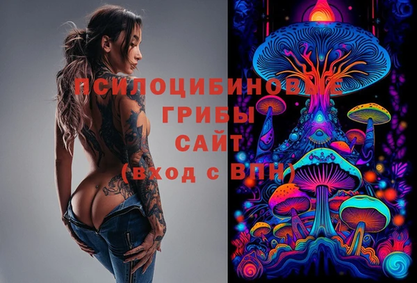 винт Верея